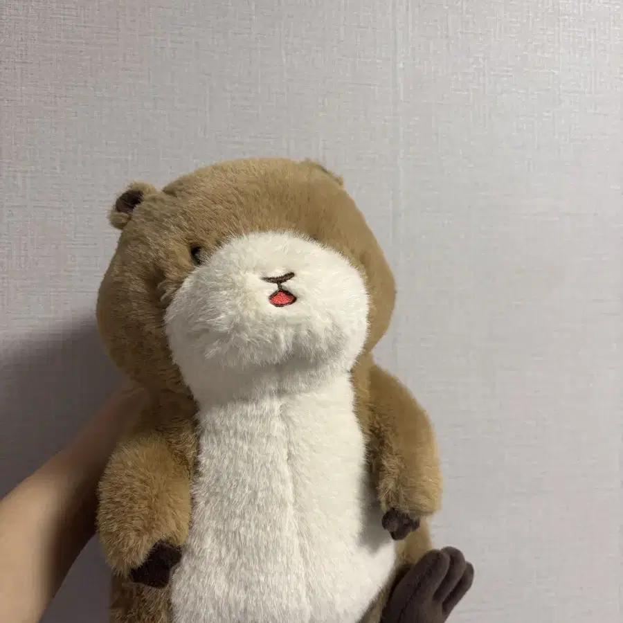 프레리도쿠 인형 28cm