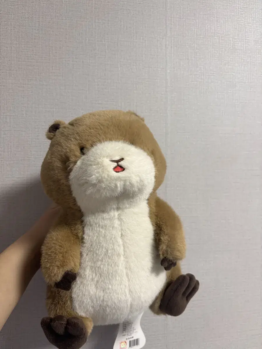 프레리도쿠 인형 28cm