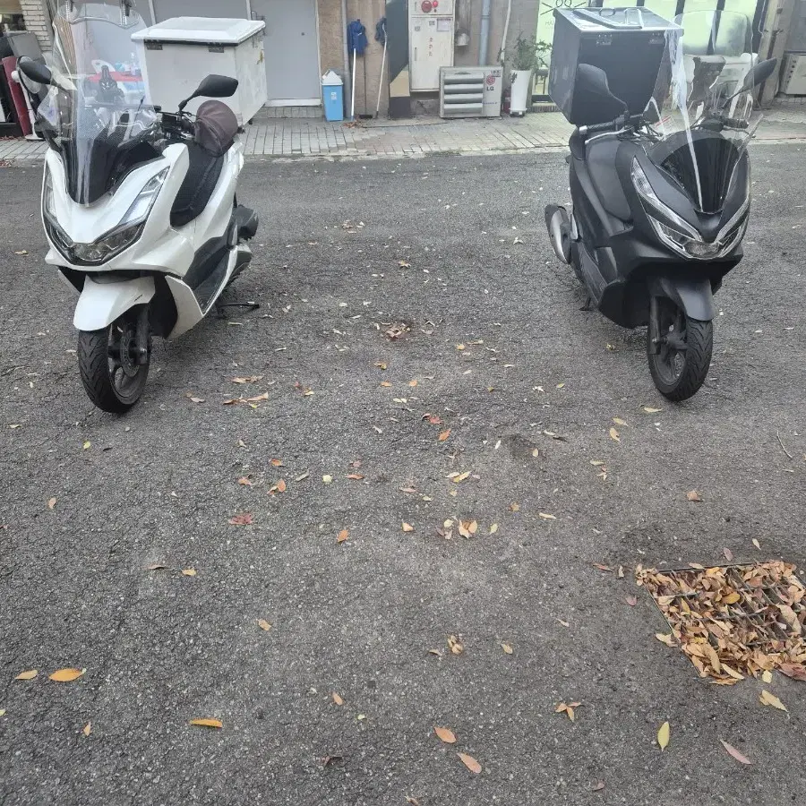 pcx125 19년식 팝니다