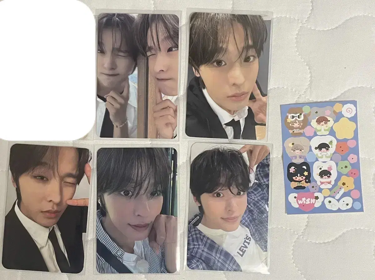 NCT wish Steady riku photocard bulk Danim Sticker