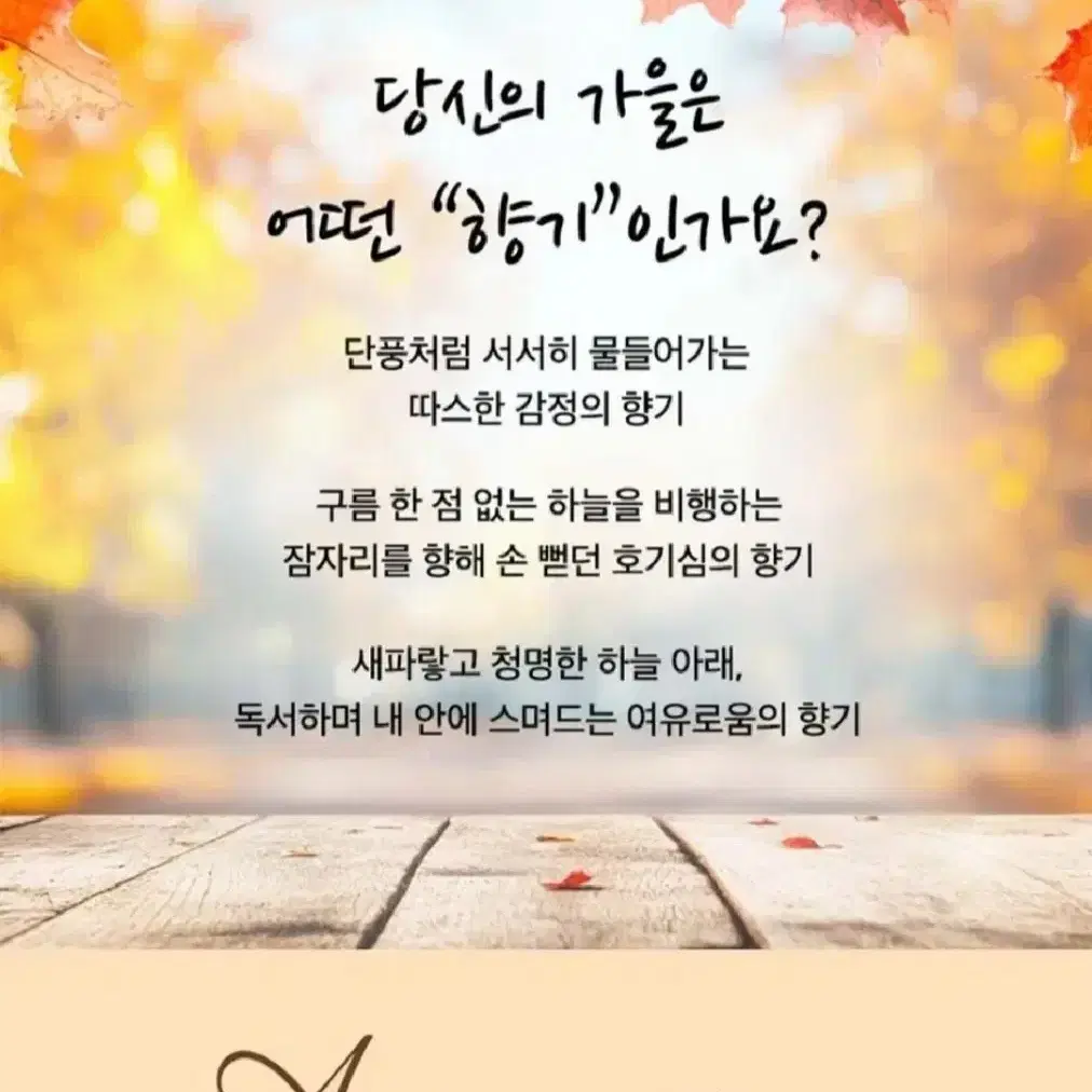 가을한정판 고농축피죤 실내건조섬유유연제 1.6Lx3개