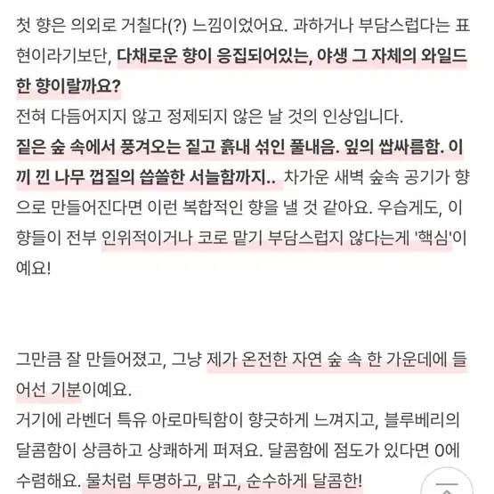 스튜디오오도르 블루벤더 퍼퓸 텀블벅