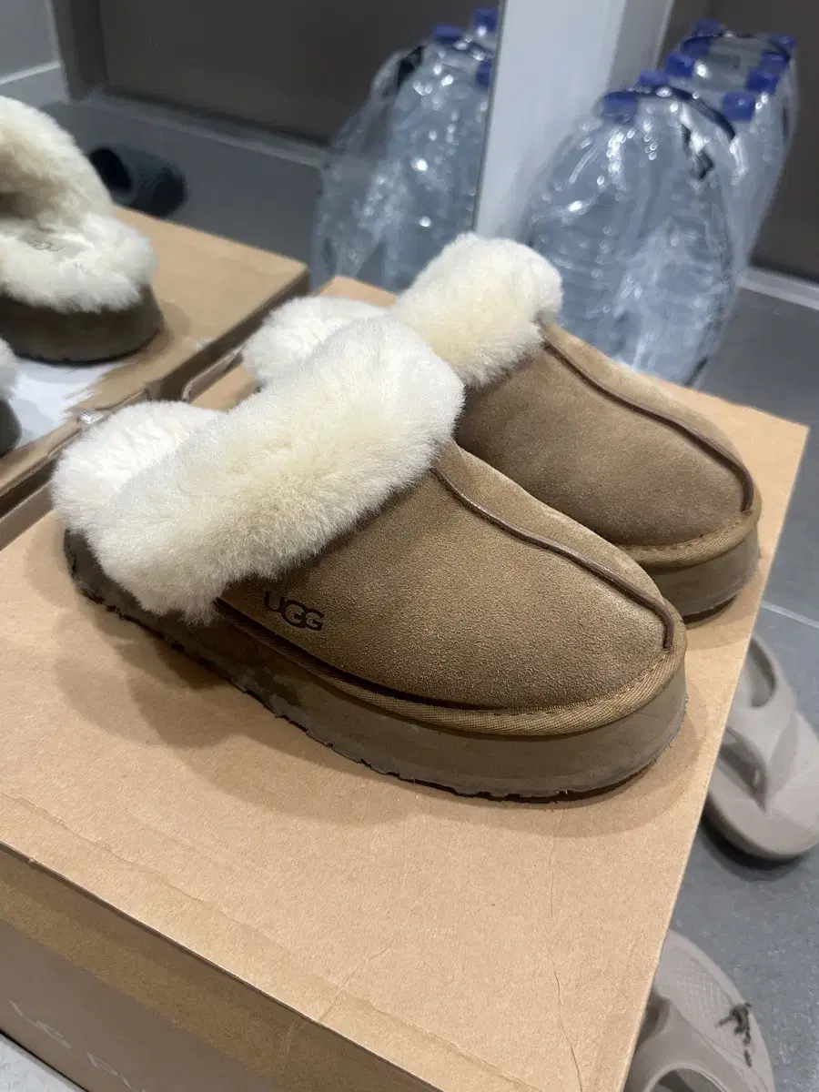 ugg 어그 디스케트 us6