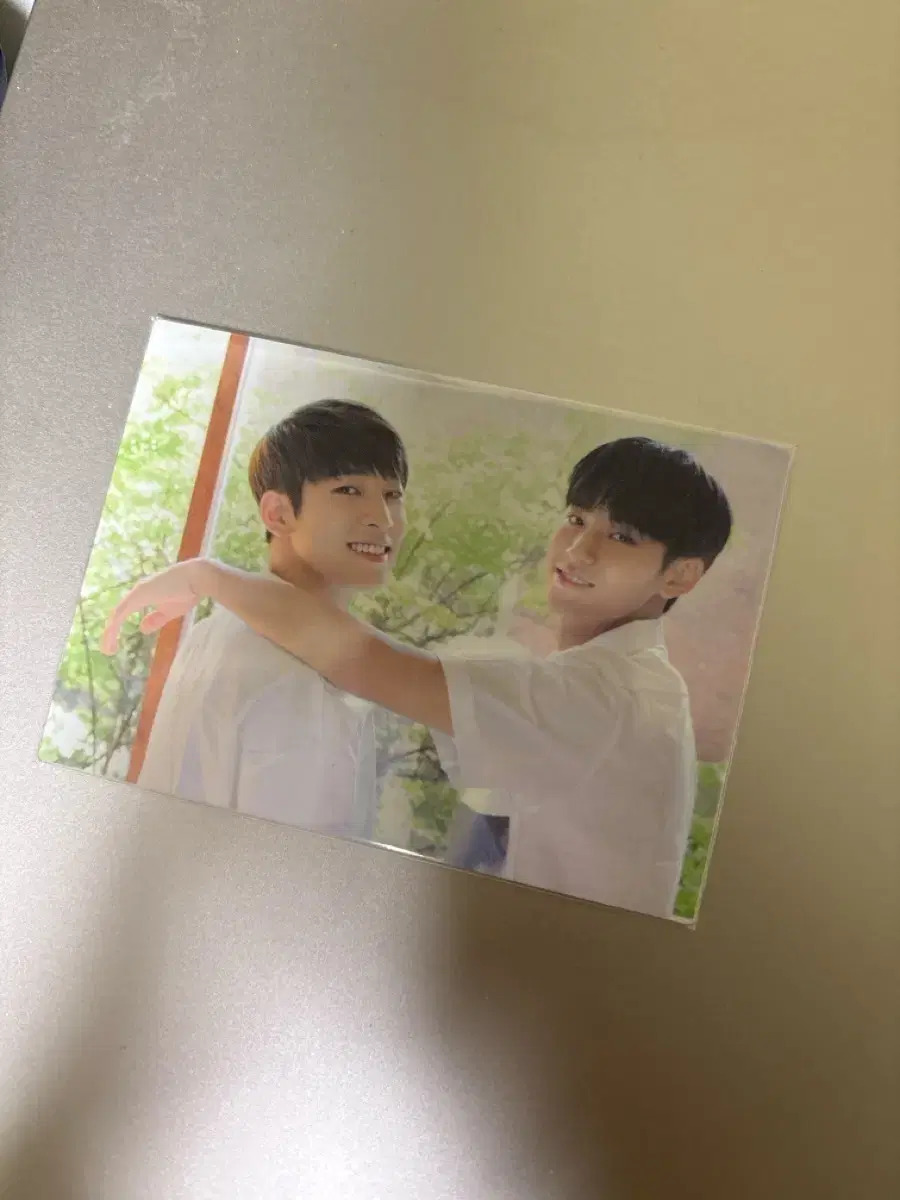 Seventeen mingyu wonwoo photocard _ Diamond Edge Japan tc WTS