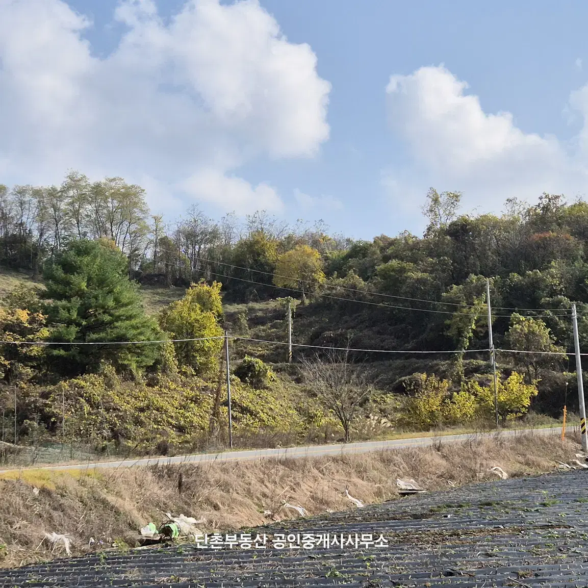 충북 제천시 수산면 수리 토지