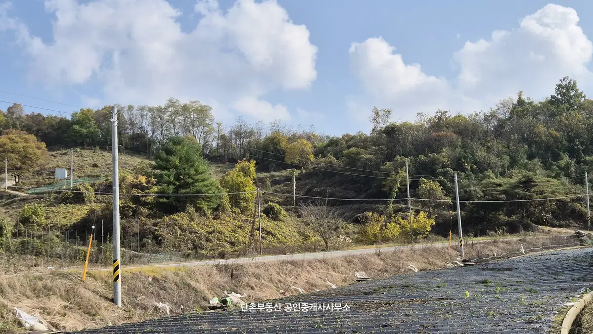 충북 제천시 수산면 수리 토지