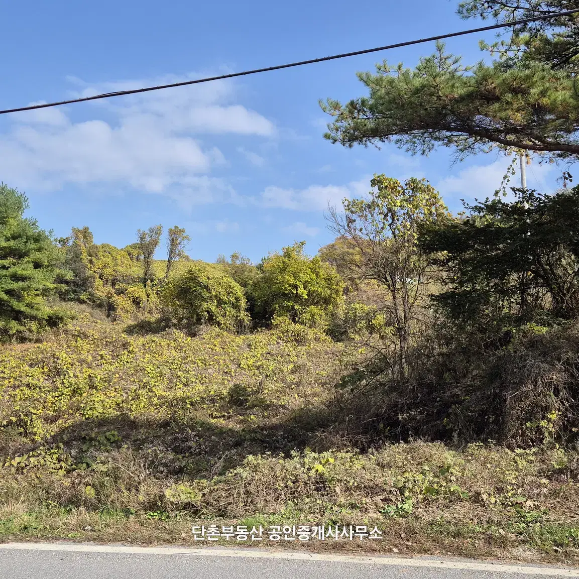 충북 제천시 수산면 수리 토지