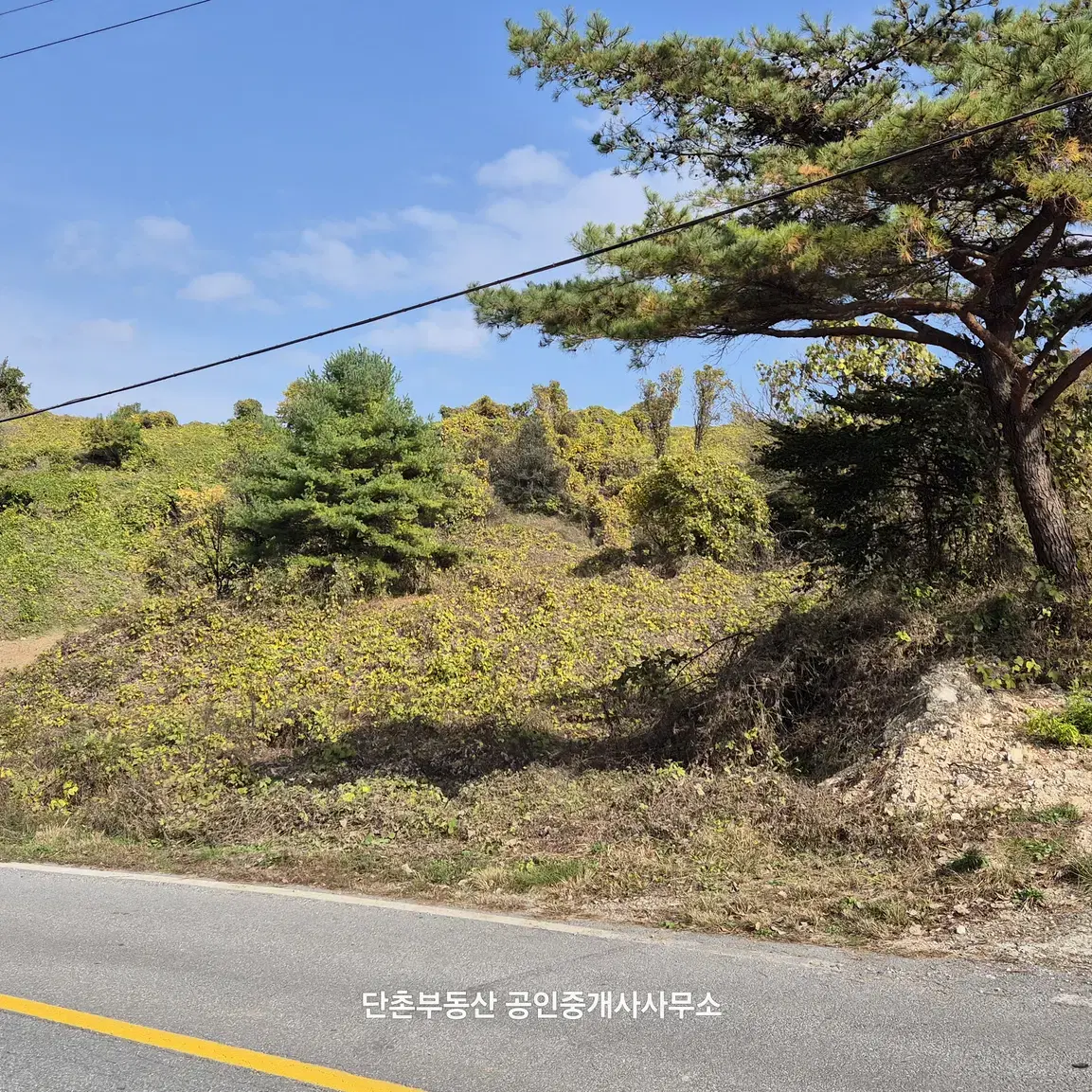 충북 제천시 수산면 수리 토지