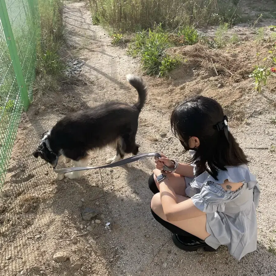 양지뢰 양산형 지뢰계 시허니 러플셋업