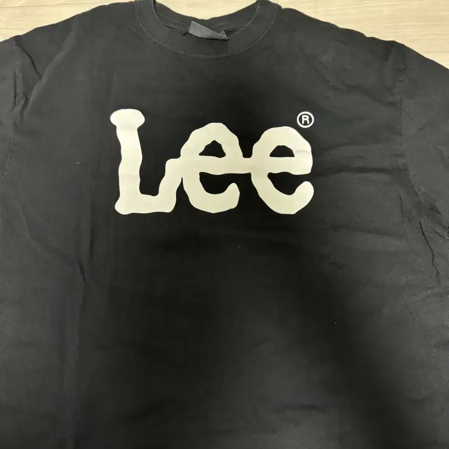 리 Lee 긴팔티