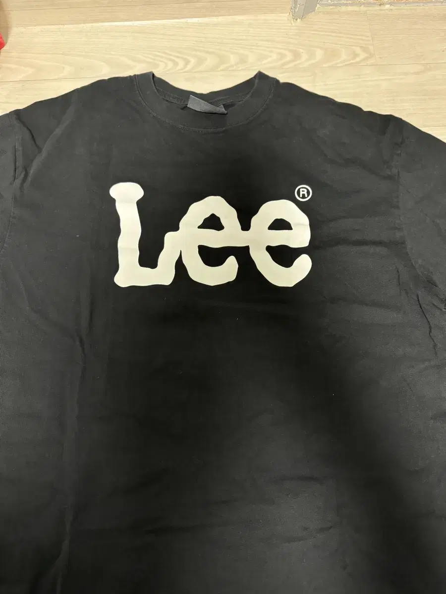 리 Lee 긴팔티