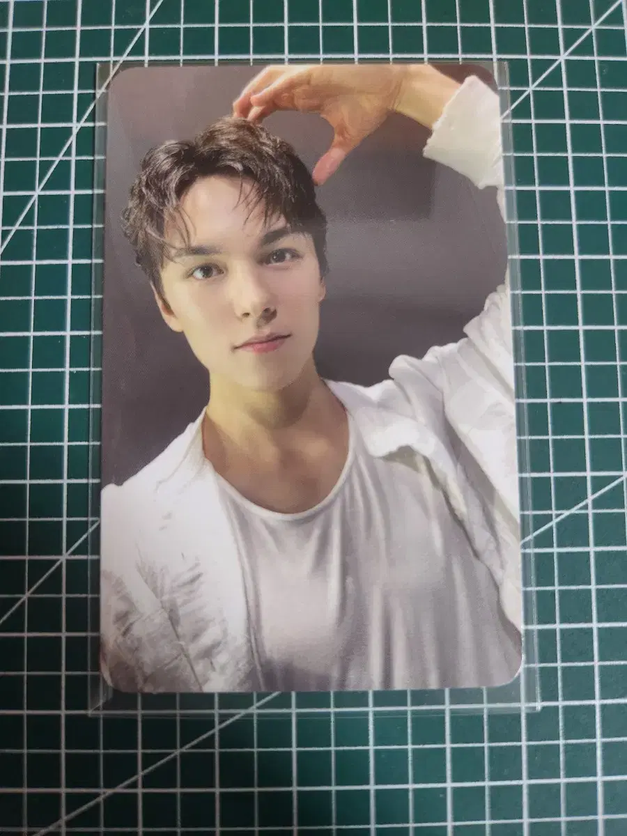 Seventeen L.M.F alpo blue version vernon wts will do!