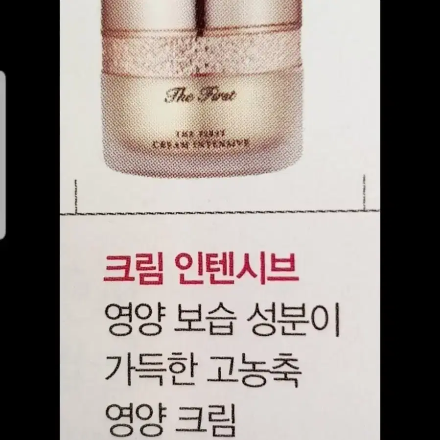 오휘 더퍼스트 영양크림 55ml+55ml