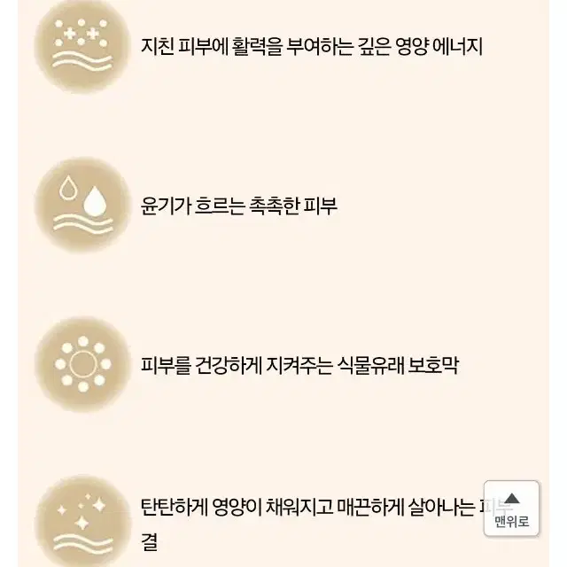 오휘 더퍼스트 영양크림 55ml+55ml