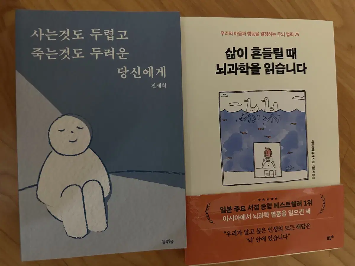 삶이 흔들릴때 뇌과학을 읽습니다