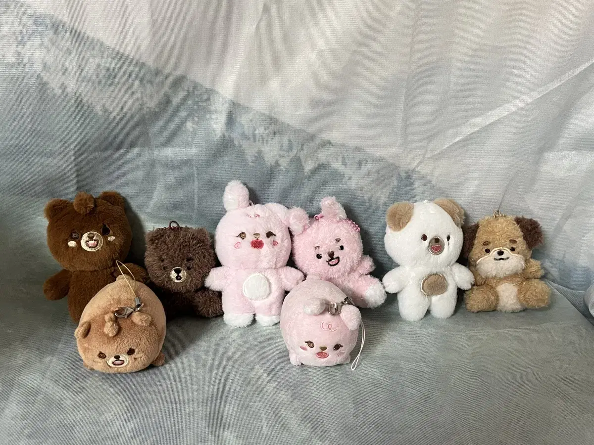 Day 6 Denimals Petitmals Sitting Version Bangpil Don WTS