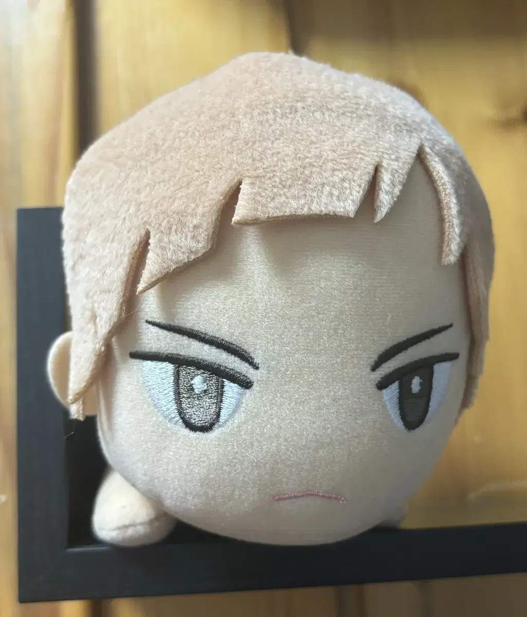 Sells Haikyuu Shirabu doll 