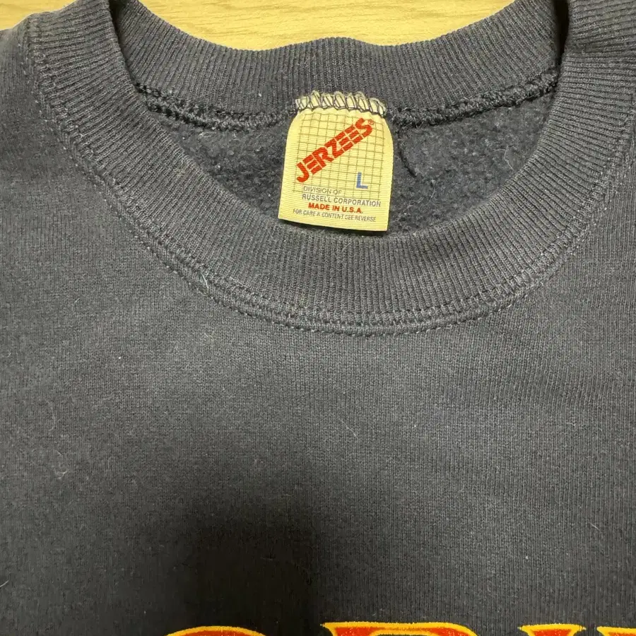 90s jerzees florida sweat