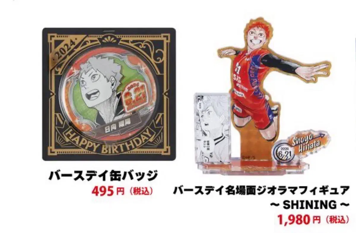 Haikyuu 2024 hinata Shoyo birthday Merchandise Canbadge Diorama