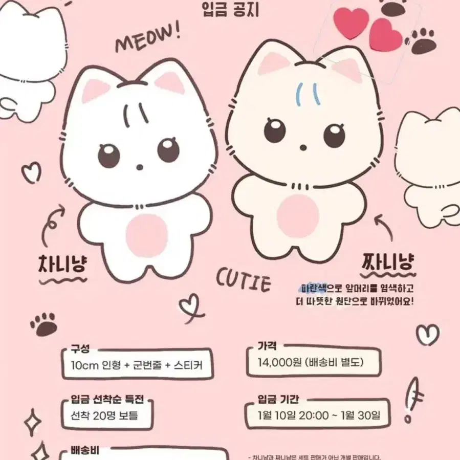 더보이즈 뉴 10cm 인형 짜니냥 양도 차니냥