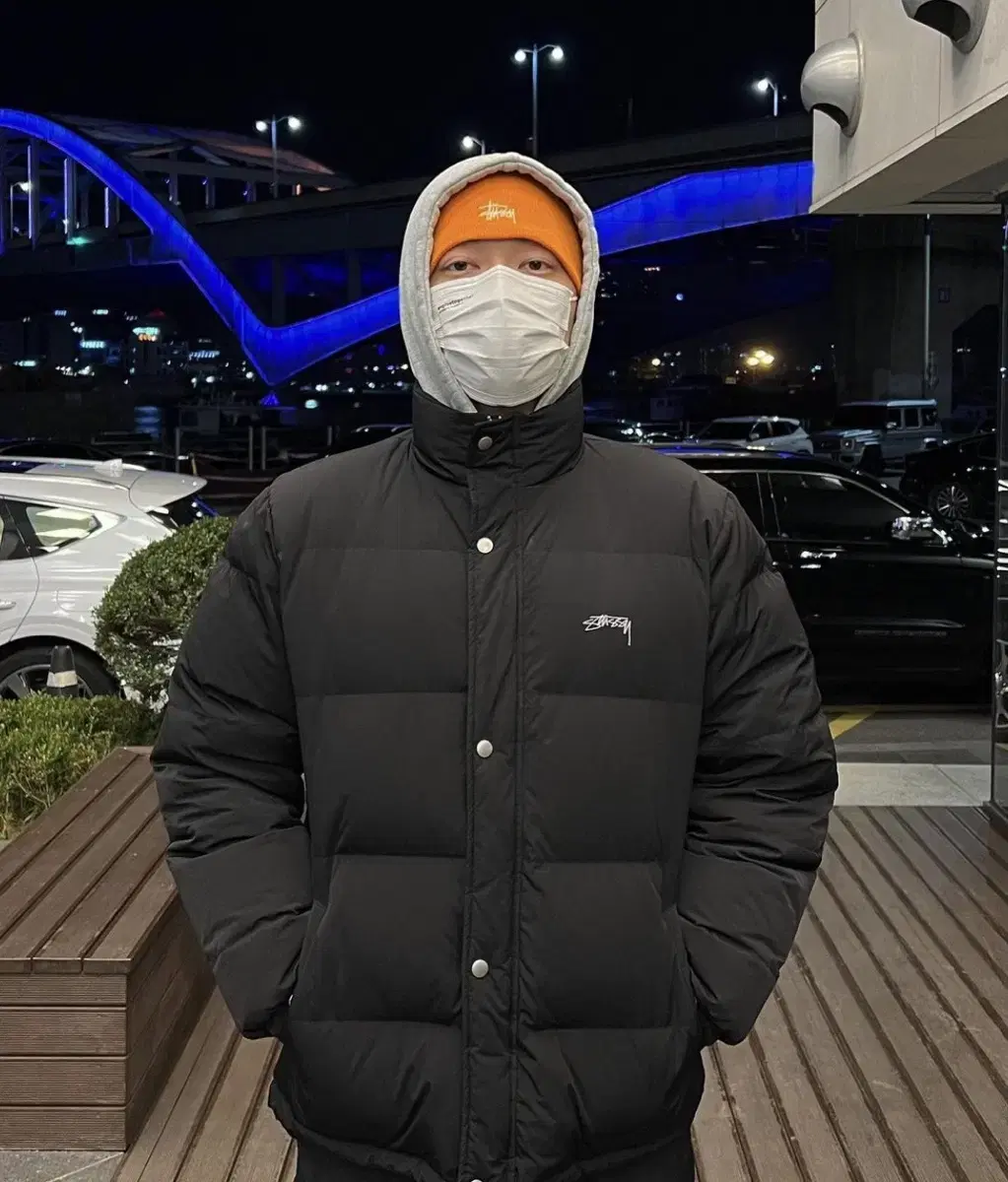 Stussy 20FW Puffer Padding [L]