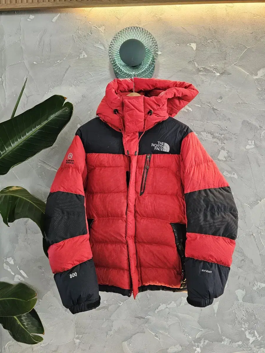 The North Face Summit S800 Duck Down Padding 95size