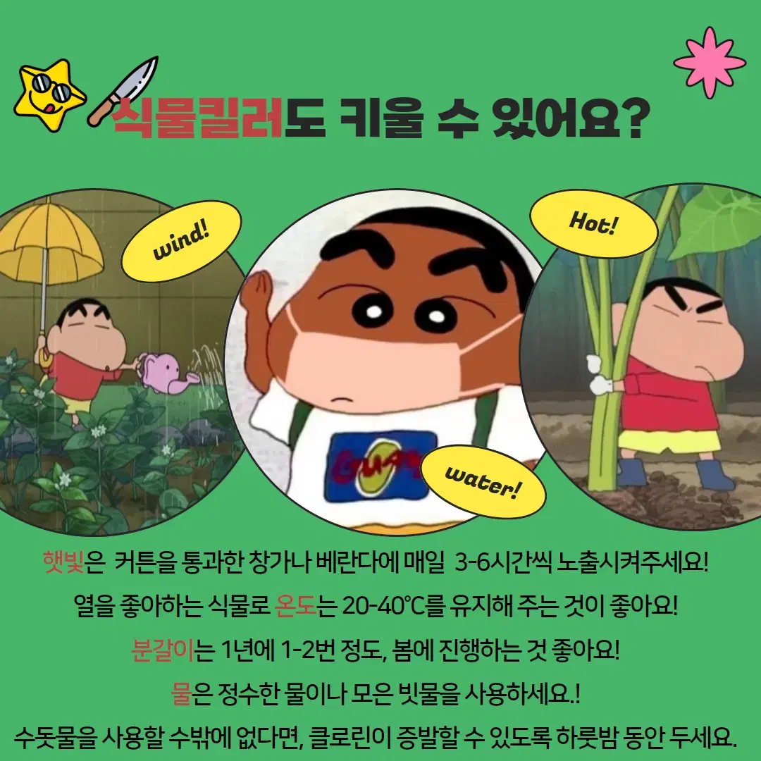 조경 식물 관리 전문업체