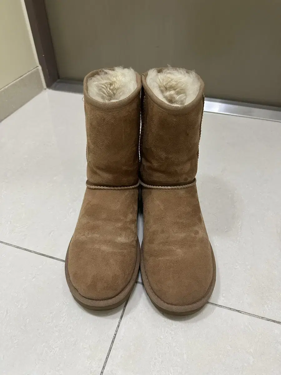 UGG 어그 클래식 숏부츠 체스트넛 240