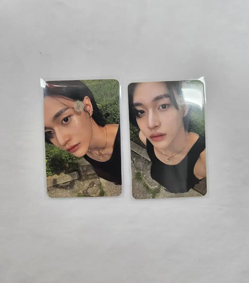 dandelion pin bulk dandelion wonbin photocard riizeShotaroSungchanEunseokSoheeChanyoung