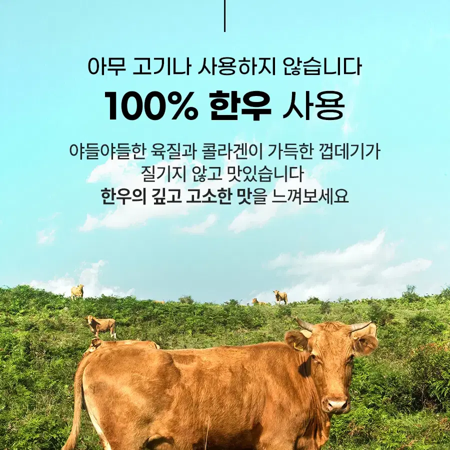 한우 소머리 500g + 한우곰탕 2팩 + 당명 + 소스 5종