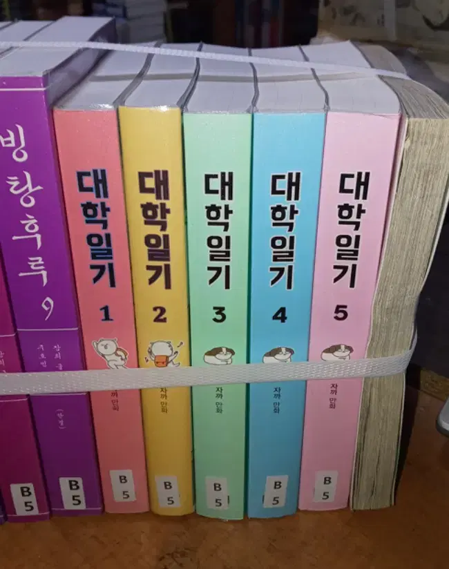 대학일기 1-5 완