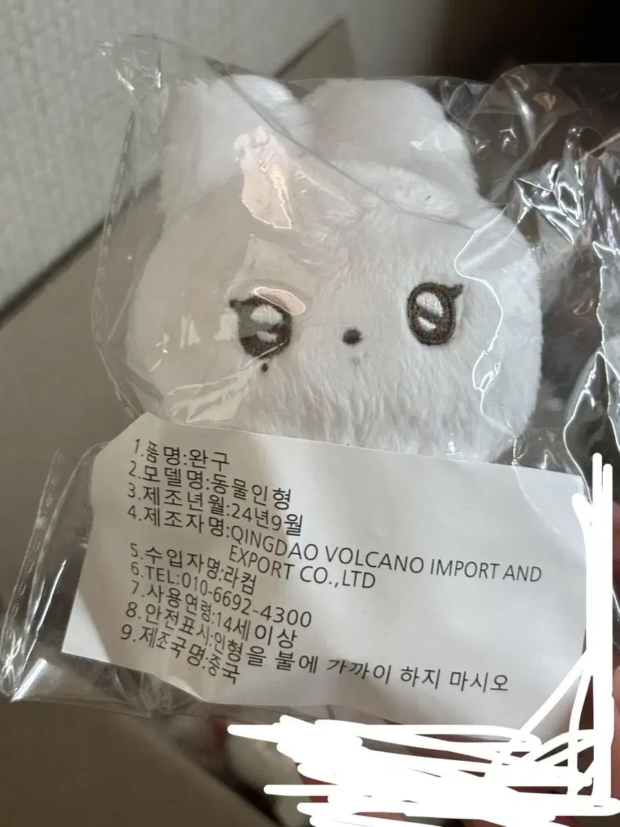 Sion-chan NCT WISH nct wish doll WTS