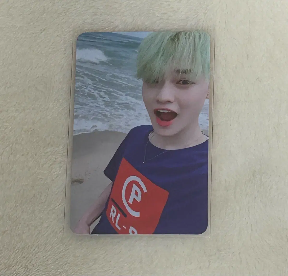 급처)nct dream chenle 위고업 알포 wts