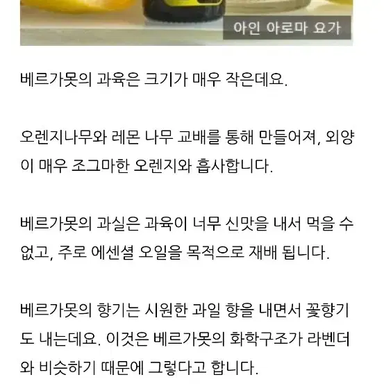 아로마오일 베르가못 에센셜오일 디퓨저 마사지 가습기