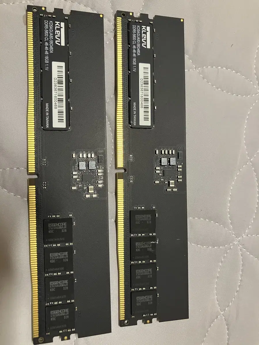 클레브 ddr5 5600 16g x2