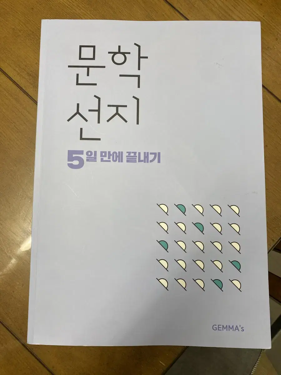 김젬마 문학선지 5일완성