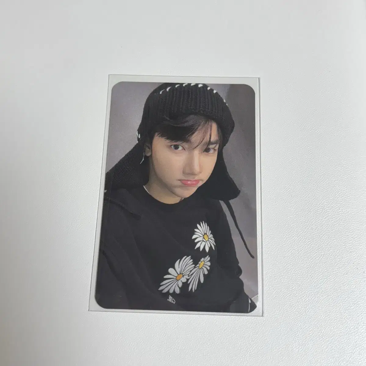 Romantic Crown zb1 zerobaseone zhang hao Photocard