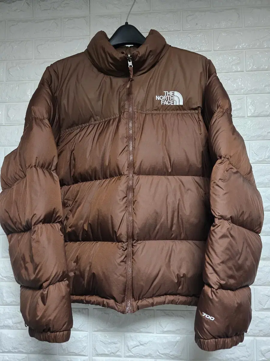 The North Face 1996 Retro Knoopsie Dark Oak Overseas Edition (Collectible) Free Shipping