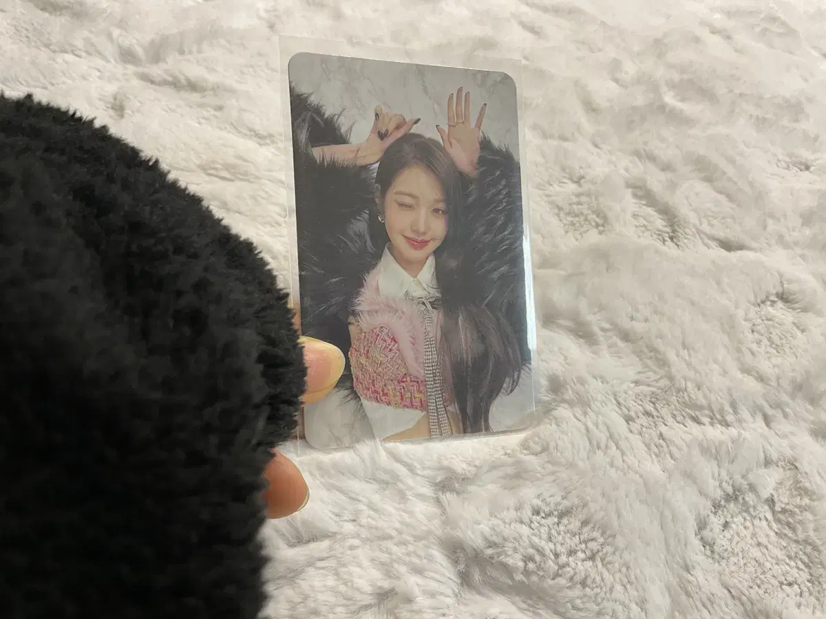 ivehavehavehave special album double sided photocard jang wonyoung sell wts