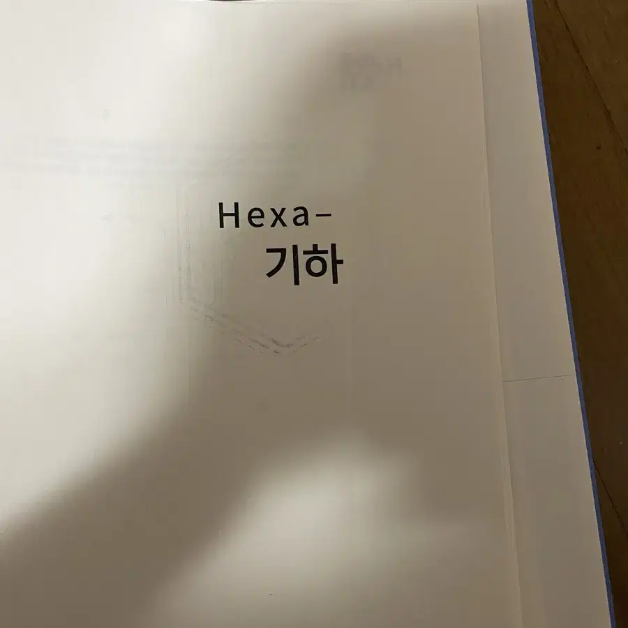 엄소연 기하 헥사 엔제