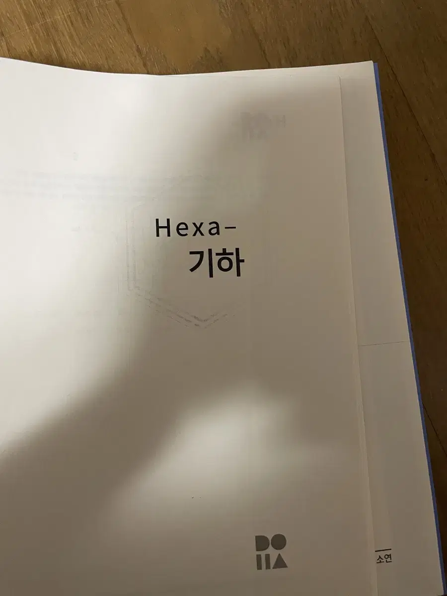 엄소연 기하 헥사 엔제