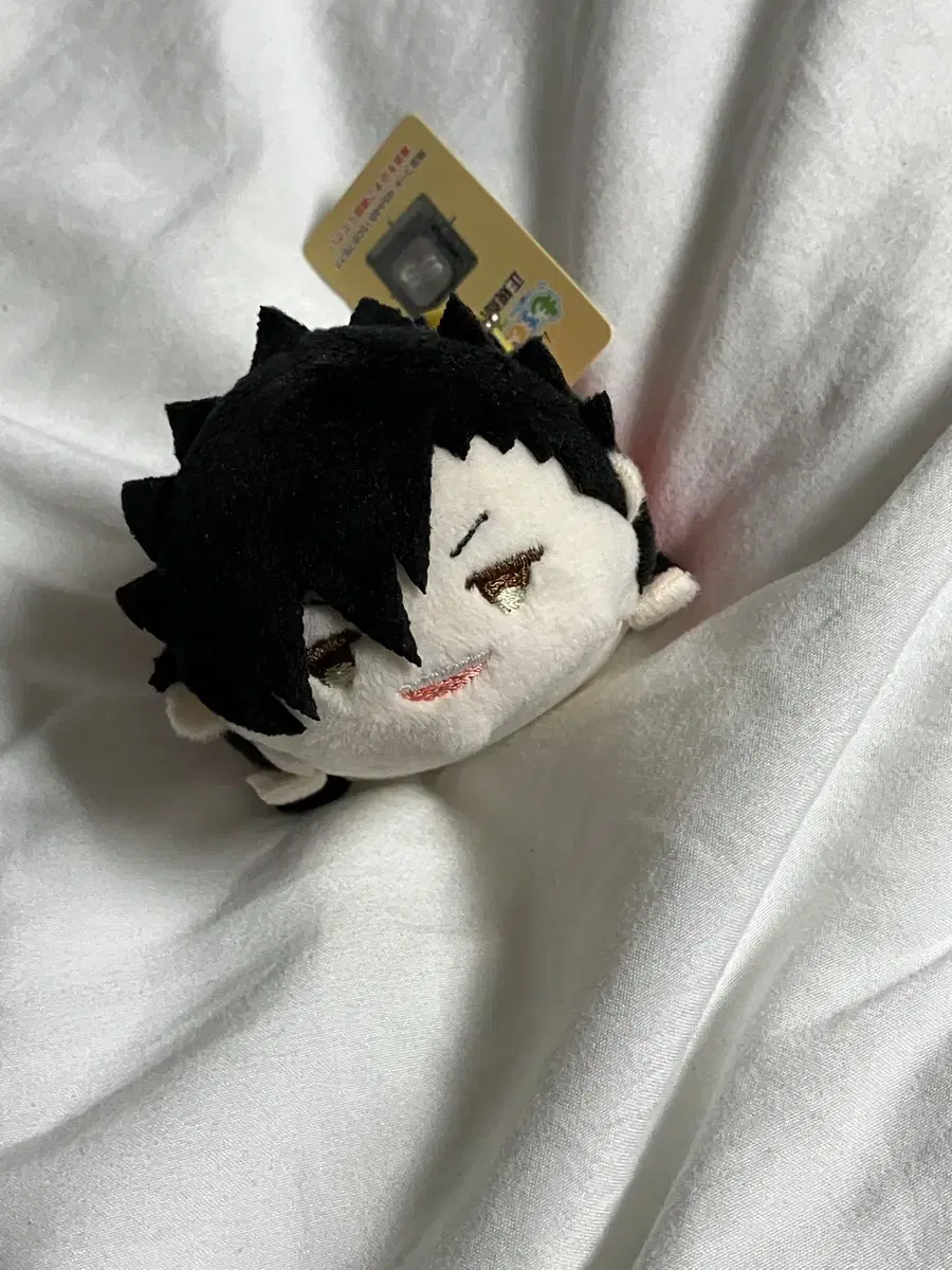 Kuroo Mochimasu