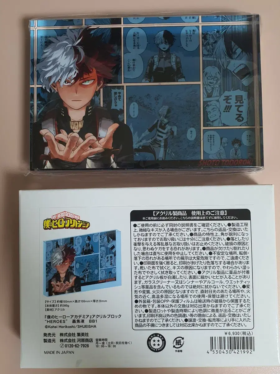 Nahia Hiroaka Todoroki Shoto Jump Shop Original Art acrylic Block