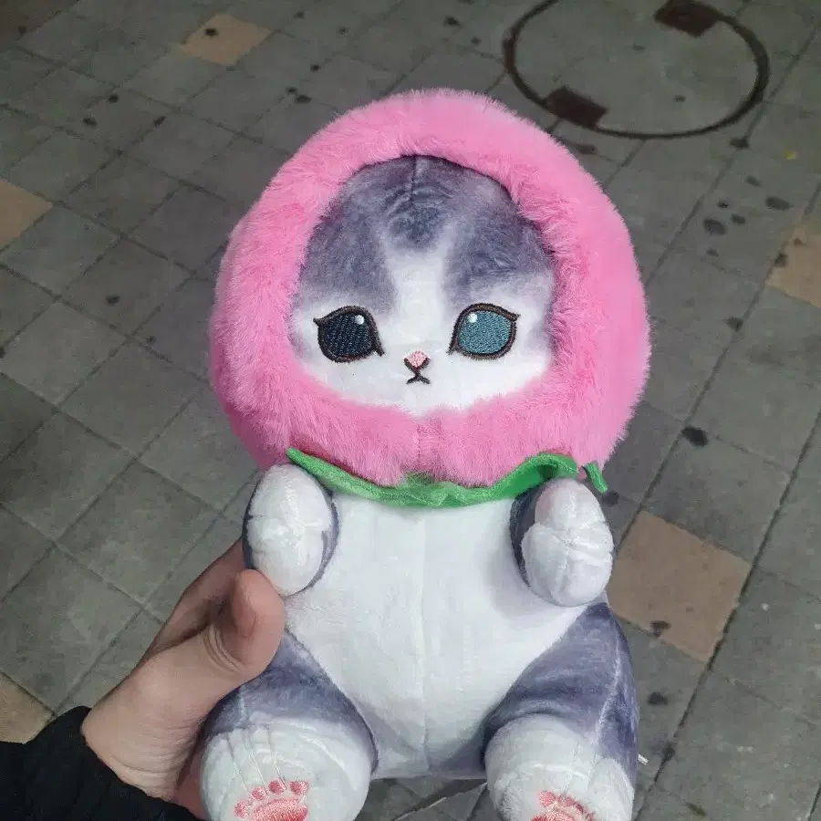 모프샌드 고양이 인형 팝니다