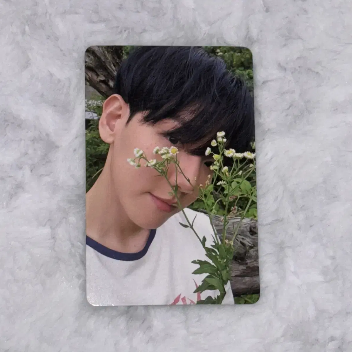 Baekhyun Baekhyun Hello World album photocard