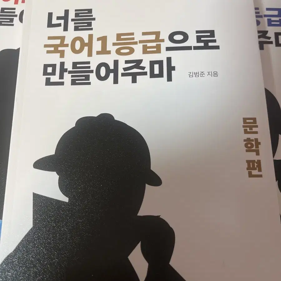 너를 국어 1등급으로 만들어주마(문학/독서/영어)