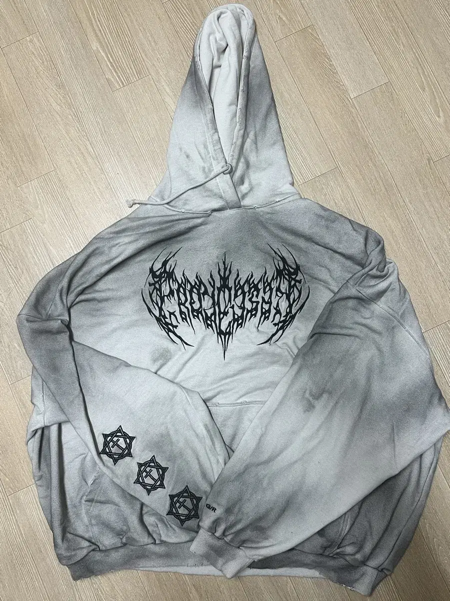 [1] Project GR Metallic Logo Hoodie, size 1 (Tacpo O)