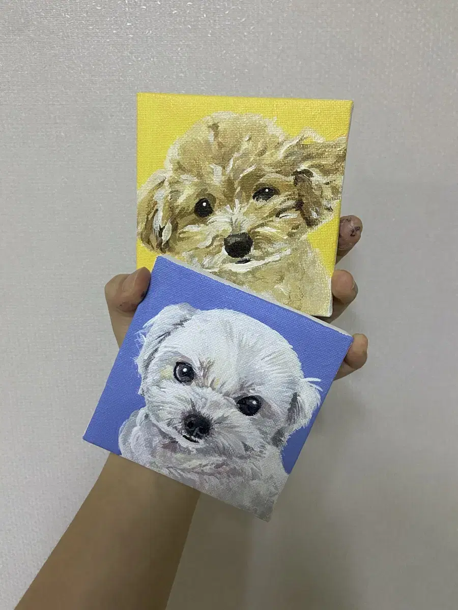 반려동물 애완동물 강아지 아크릴 그림 그려드려요