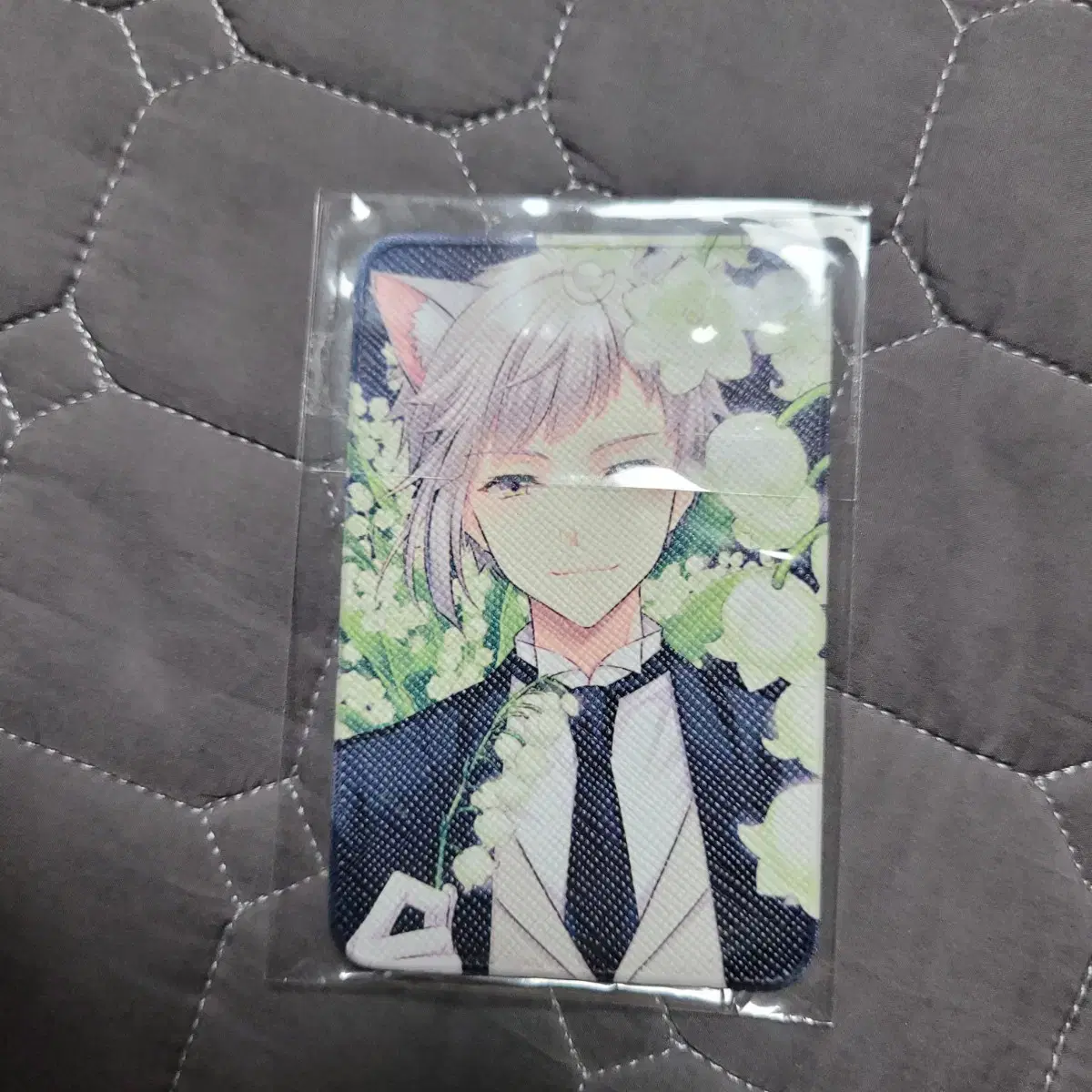 Bunho Stray Dogs Atsushi Transportation Card Case