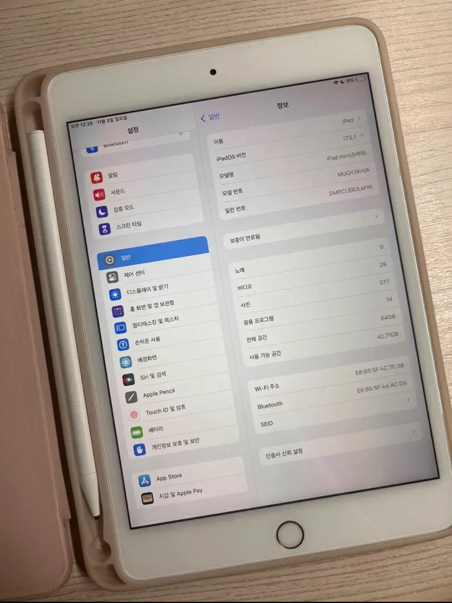 에눌 가능) 아이패드 미니 5세대 64기가 로즈 골드 + 짭펜슬
